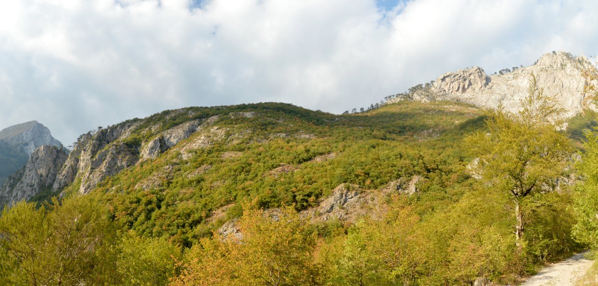 Sestup z Magliće do údolí Sutjeska; prales Peručica