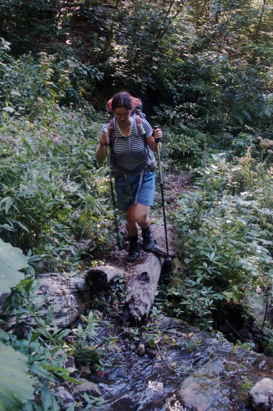 Výstup na hřeben Zelengora od Sutjesky - v pralese