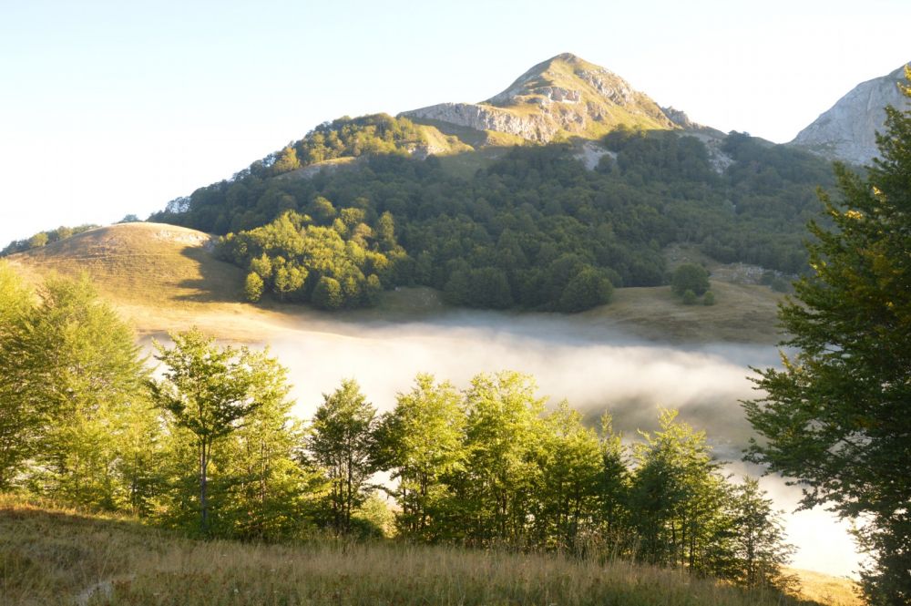 Zelengora: ranní mlha nad Orlovačko jezerem