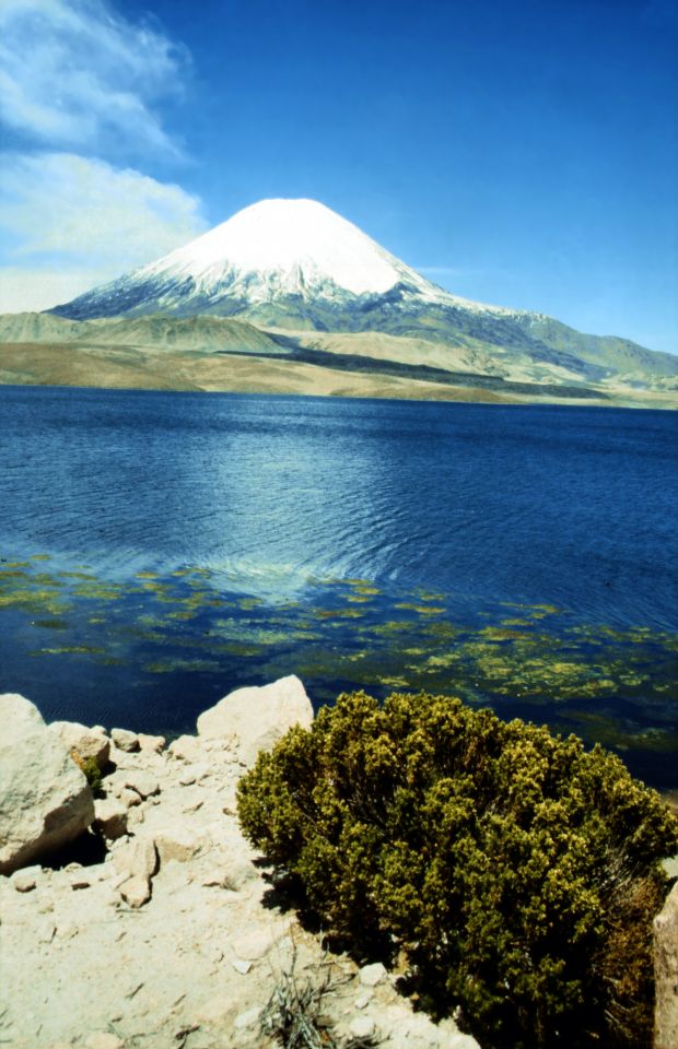 Lago Chungará (4500 m) a hora Parinacota (6350 m)
