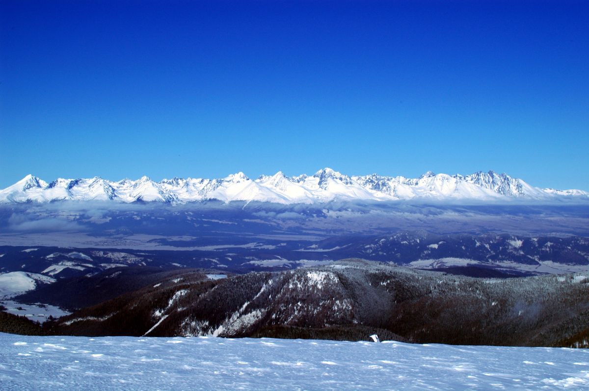 Vysoké Tatry z Kraľovy holi