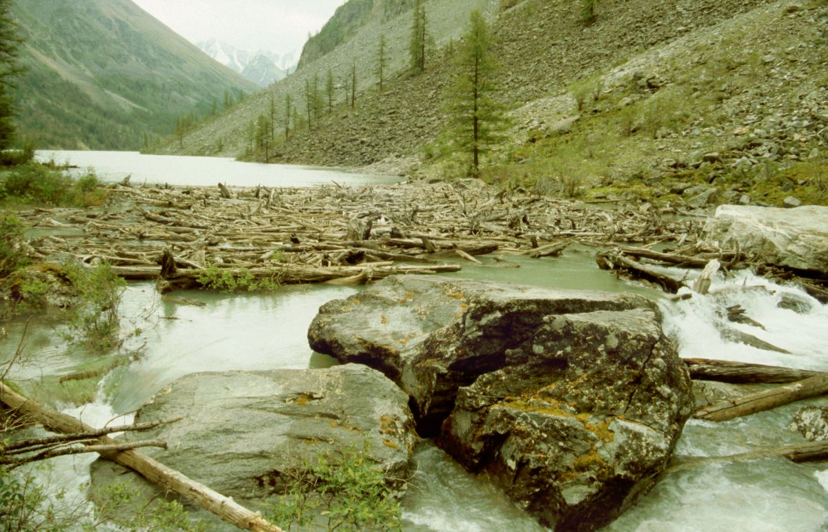 Šavlinské jezero