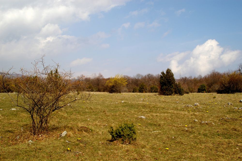 Zádielská planina