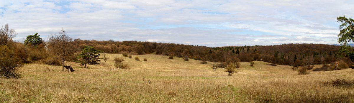 Silický planina