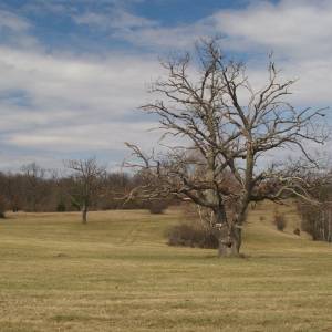 Silická planina