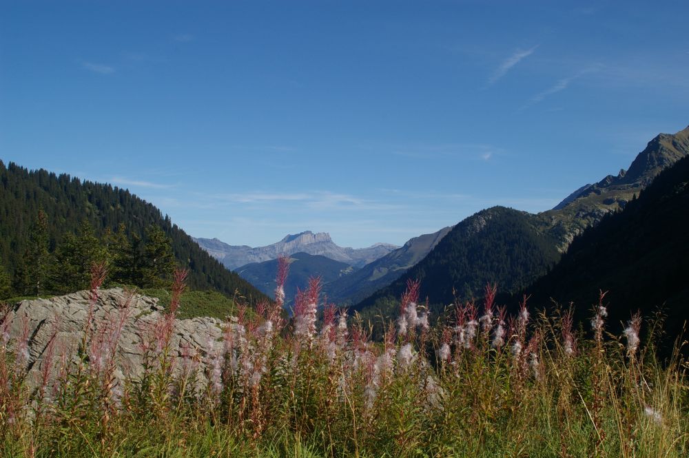 cestou do Col du Bonhomme