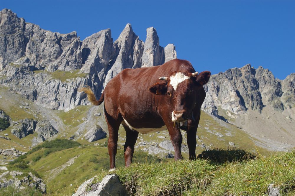 cestou do Col du Bonhomme