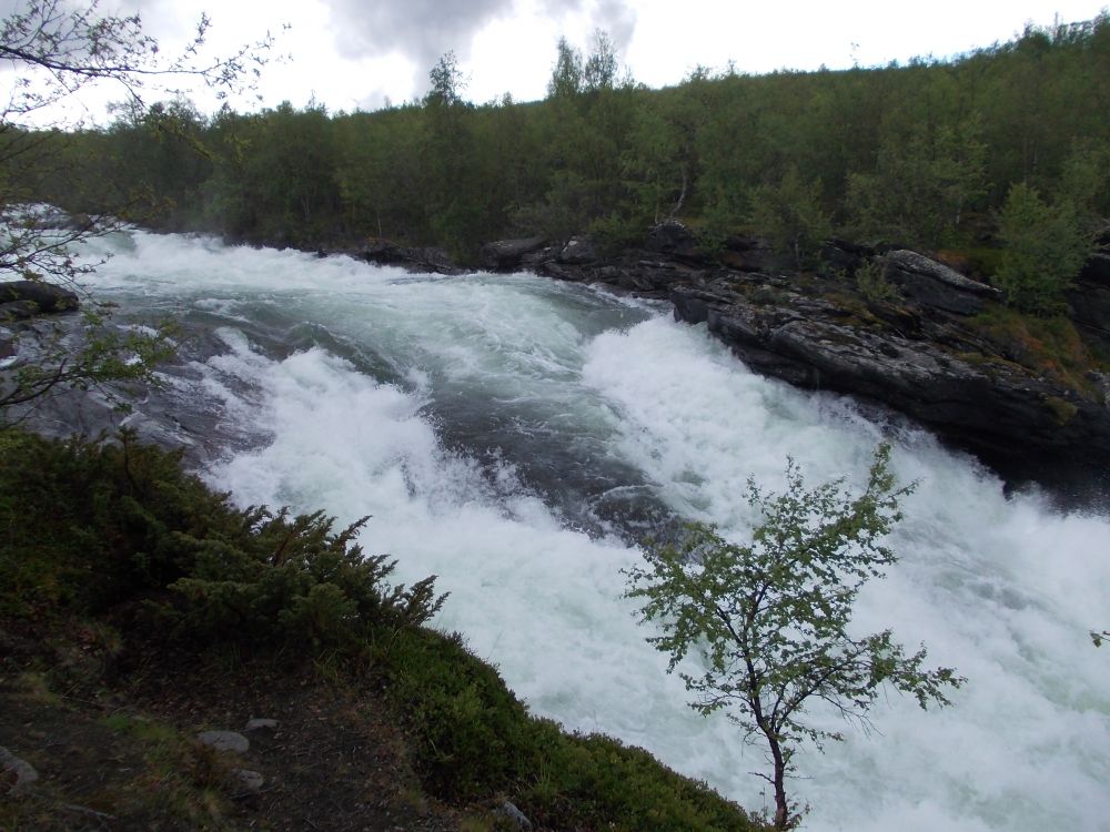 Národní park Abisko: řeka Abisko