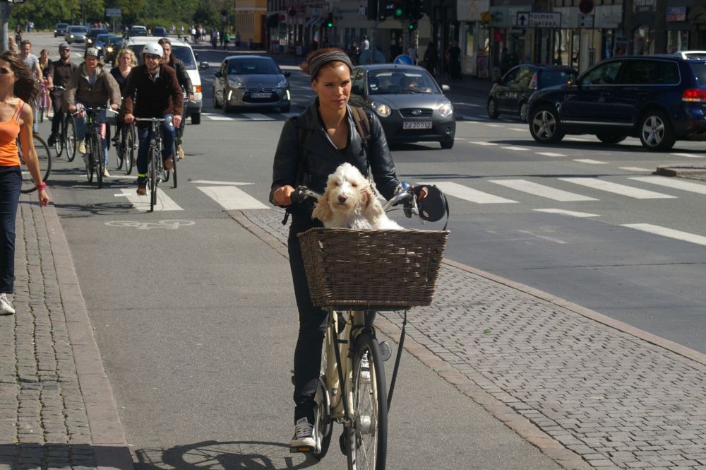 Kodaň - cyklisté všude