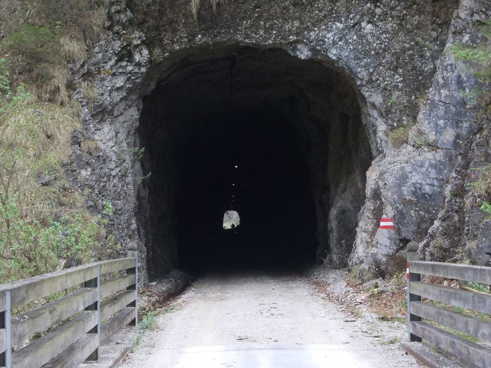 Vápencové Kalkaplen - cyklostezka vede po tělese zrušené úzkokolejky s řadou tunelů