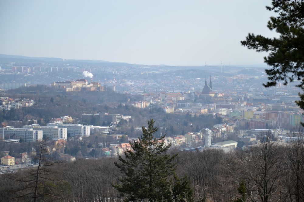 Pohled z Myslivny na Brno