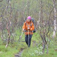 Popis: Údolí Nordalen a březový prales