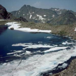 Sněhovo-ledovcové jezero