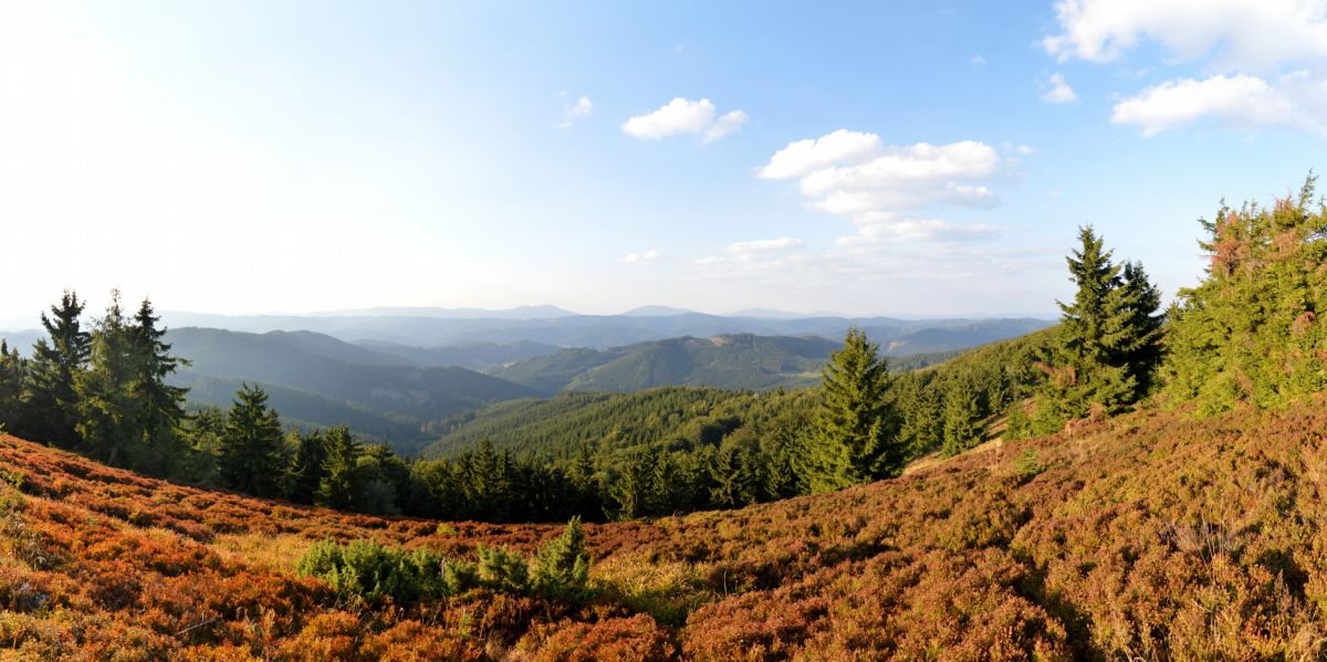 Hřeben Beskyd (Kněhyně, Smrk, Lysá hora) ze Ztracence