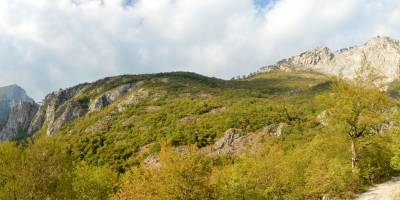 Popis: Sestup z Magliće do údolí Sutjeska; prales Peručica