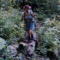 Popis: Výstup na hřeben Zelengora od Sutjesky - v pralese