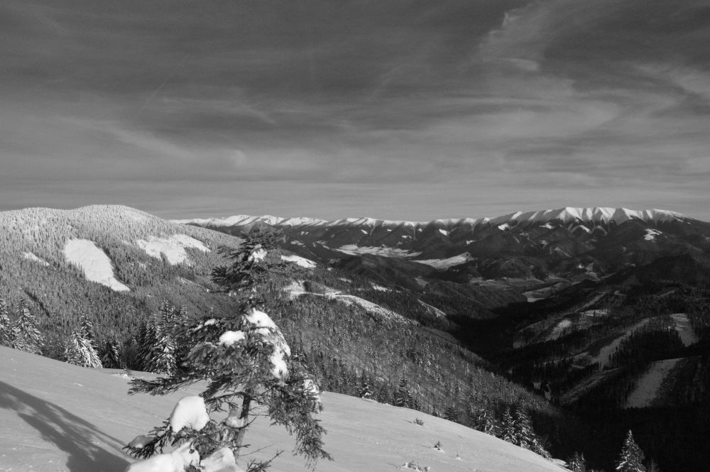 Pohled na Nízké Tatry