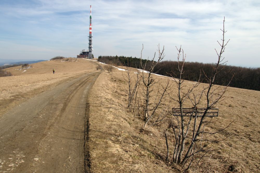 Velká Javořina