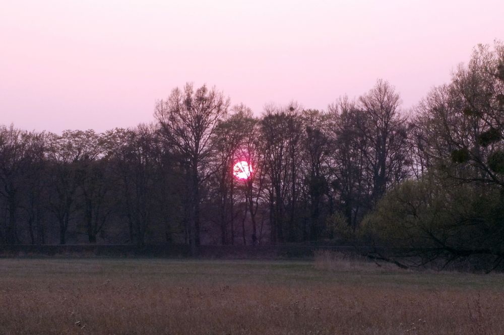 Západ slunce na Pohansku