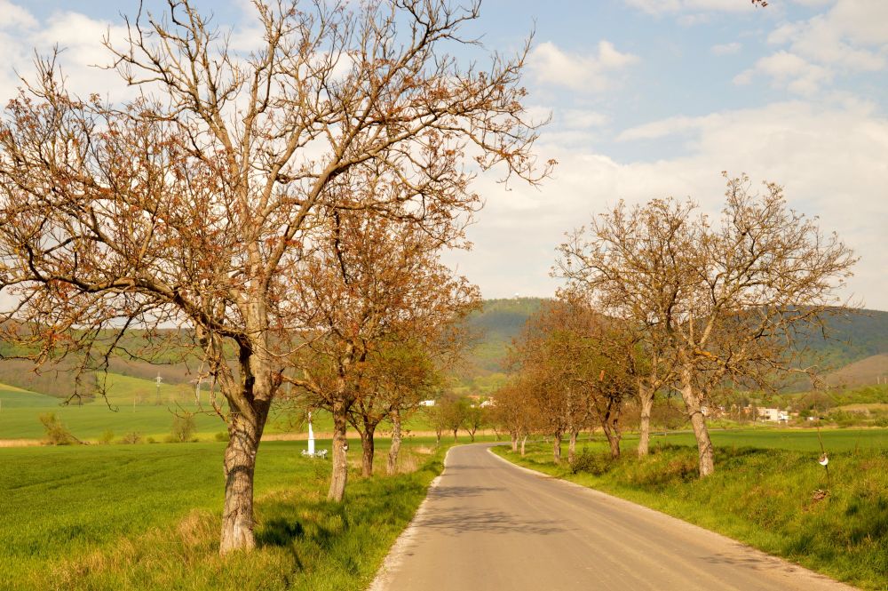 Vrchol Veľkého Bučeně