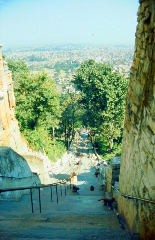 Káthmándú - pohled na město ze Swayabbhunathu (na schodech k vidění opice)