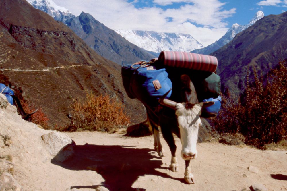 Na prašné cestě, jak a vpravo hora Ama Dablam