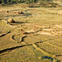 Popis: Pokhara, rýžová políčka