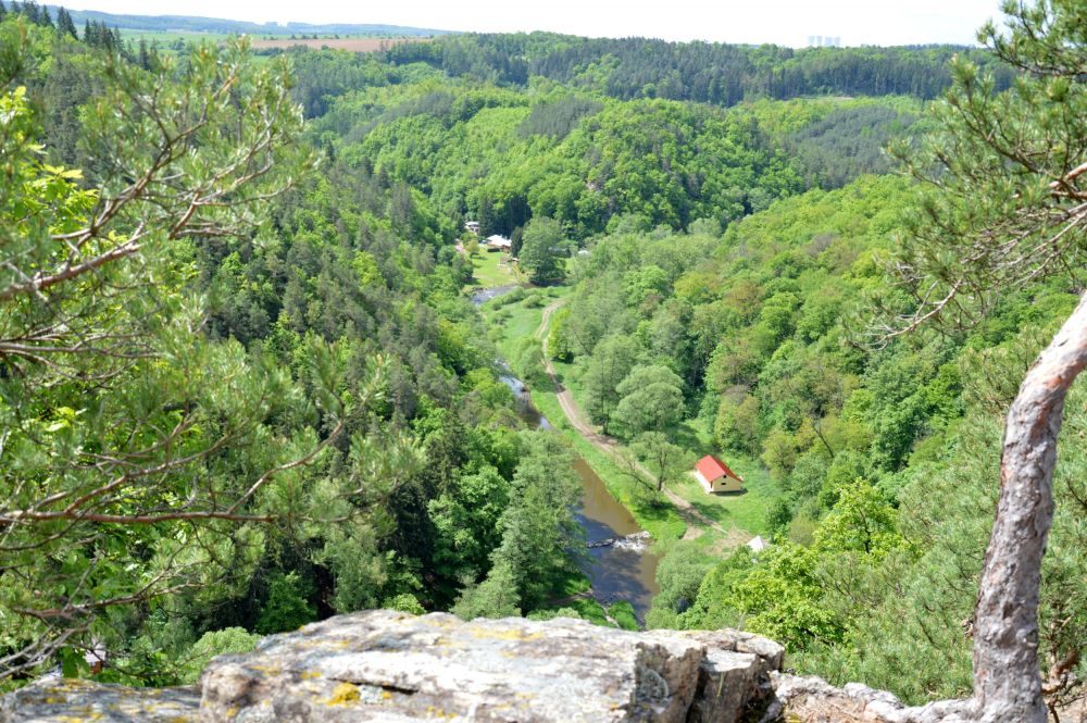 Ze zříceniny hradu Levnova, údolí Oslavky