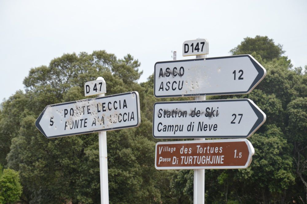 Návrat do hor (do Haut Asco), někteří Korsičané nemají rády Francouze a francoužštinu