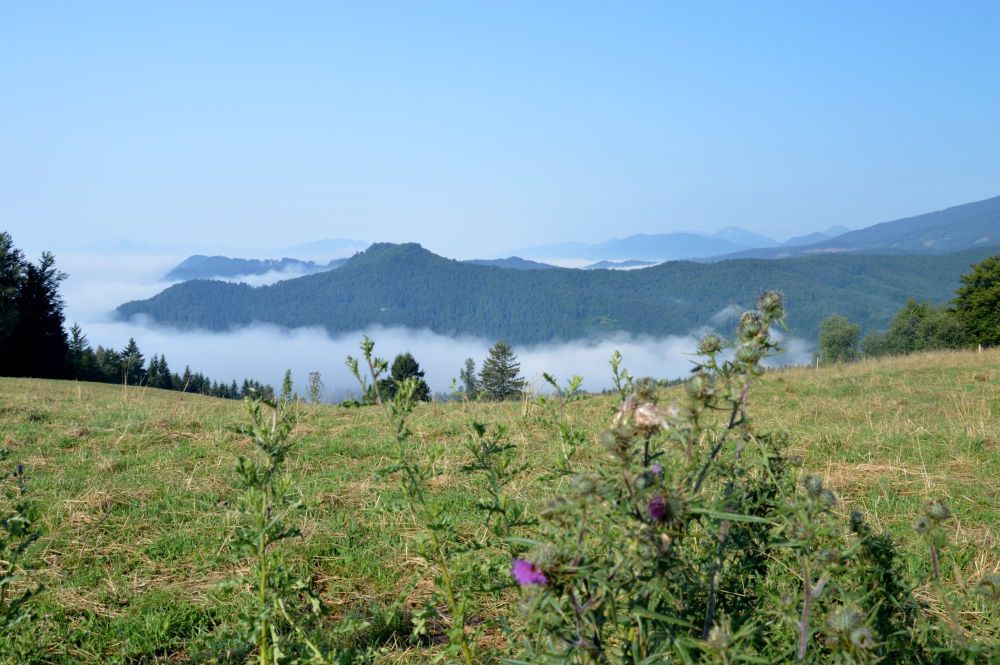 Drvisko - vzadu Malá Fatra