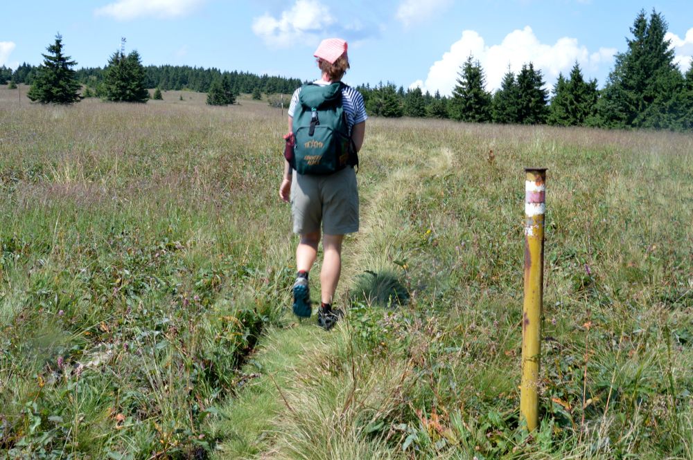 Oravská Magura: část Kubínská hoľa