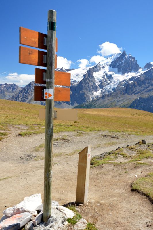 La Meije (3980 m) z planiny Emparis