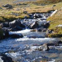 Popis: Potok Planche