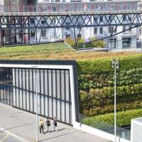 Popis: Lausanne - zelená střecha, zelená fasáda