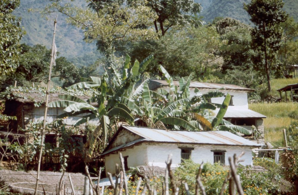 Vesnice s banánovníky