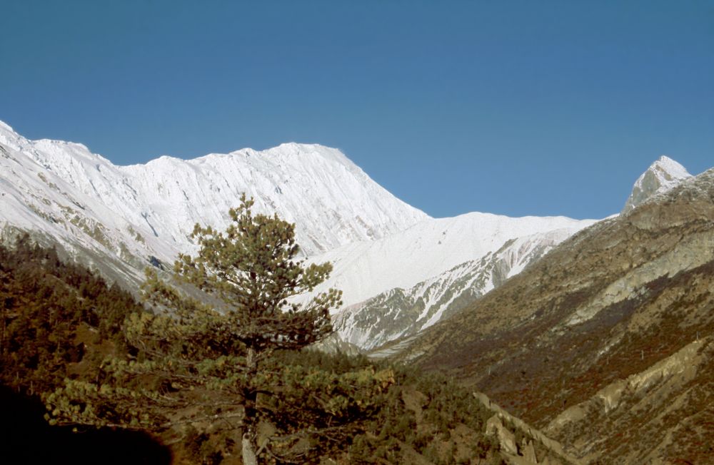 Údolí Khangsar Khola