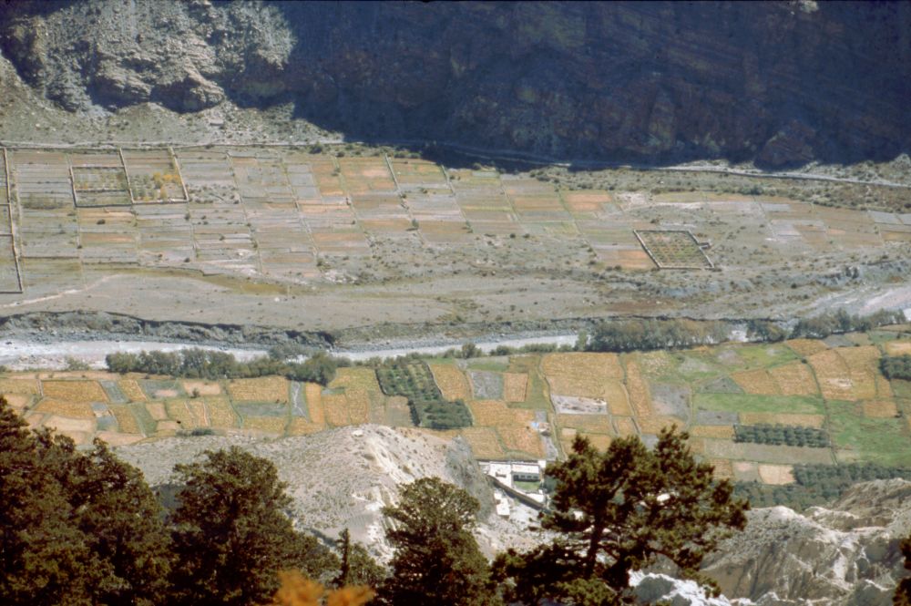 Pohled na políčka u Kali Gandaki