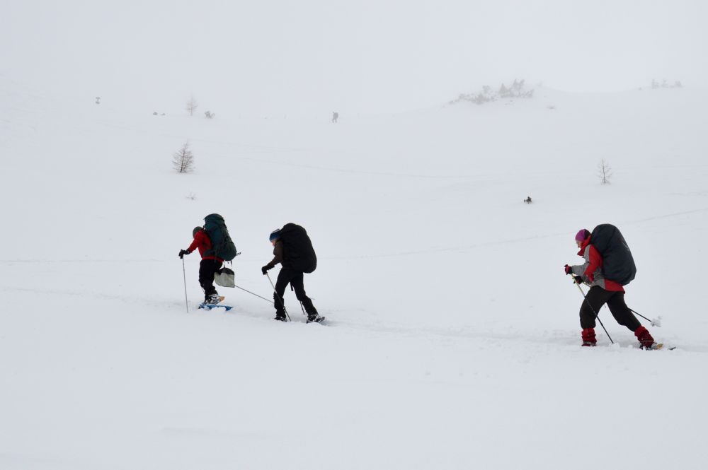 Výstup v mraku do sedla Lamingsattel (1677 m n.m.)