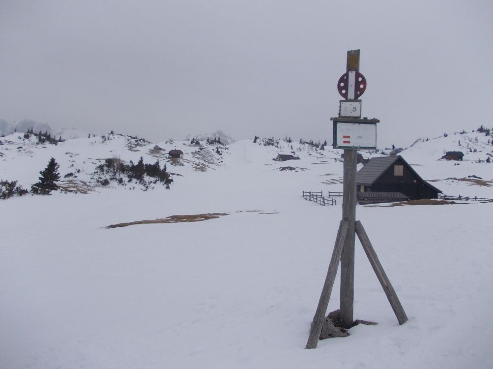 Na plání u chaty Sonnschienhutte (1523 m n.m.), spousta letních chat a salaší