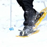 Popis: Hochschwab (2277m), detail sněžnic