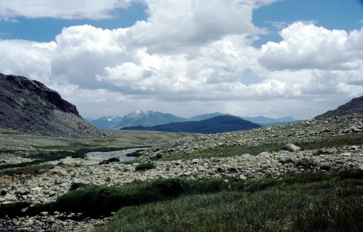 Pláně Deosai Plains