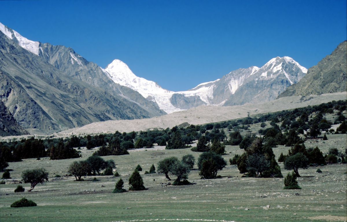 Údolí Rupal a Laili Peak