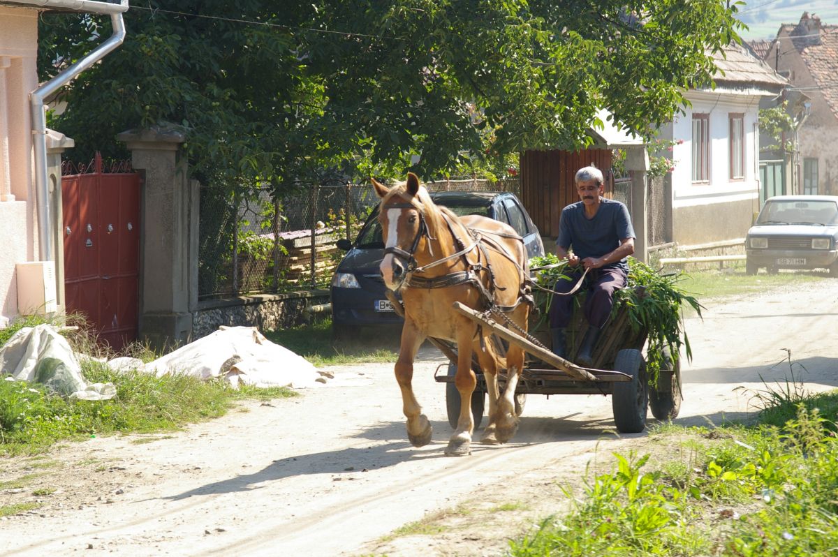 Făgăraş, Turnu Roşu