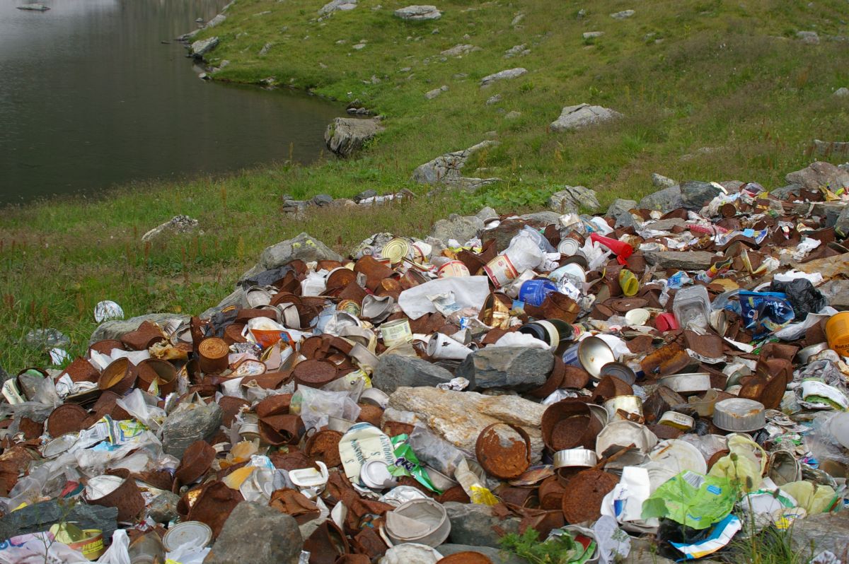 Făgăraş, jezero Avrig