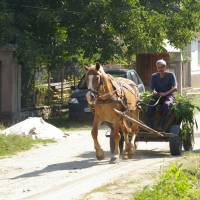 Popis: Făgăraş, Turnu Roşu