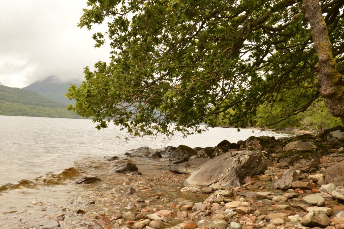 Na břehu jezera Loch Lomond