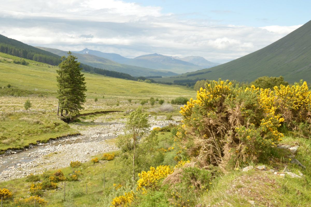 Jižně od Bridge of Orchy, vzadu od Black Mount