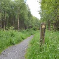 Popis: Cesta po břehu jezera Loch Lomond