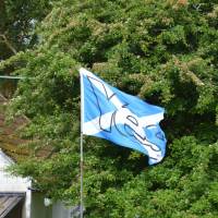 Popis: Skotská vlajka a odkaz na loňské referendum (YES= hlasuji pro samostatné Skotsko)