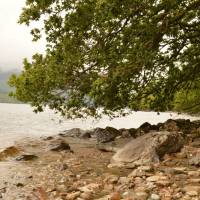 Popis: Na břehu jezera Loch Lomond